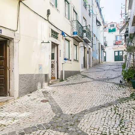 Santos Classic By Homing