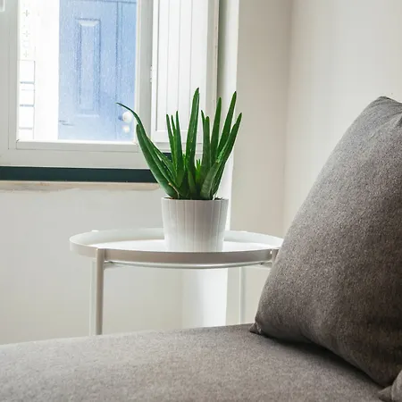 Santos Classic By Homing Appartamento *