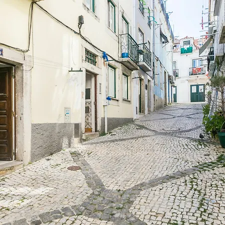 Santos Classic By Homing *