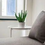 Santos Classic By Homing Apartamento *